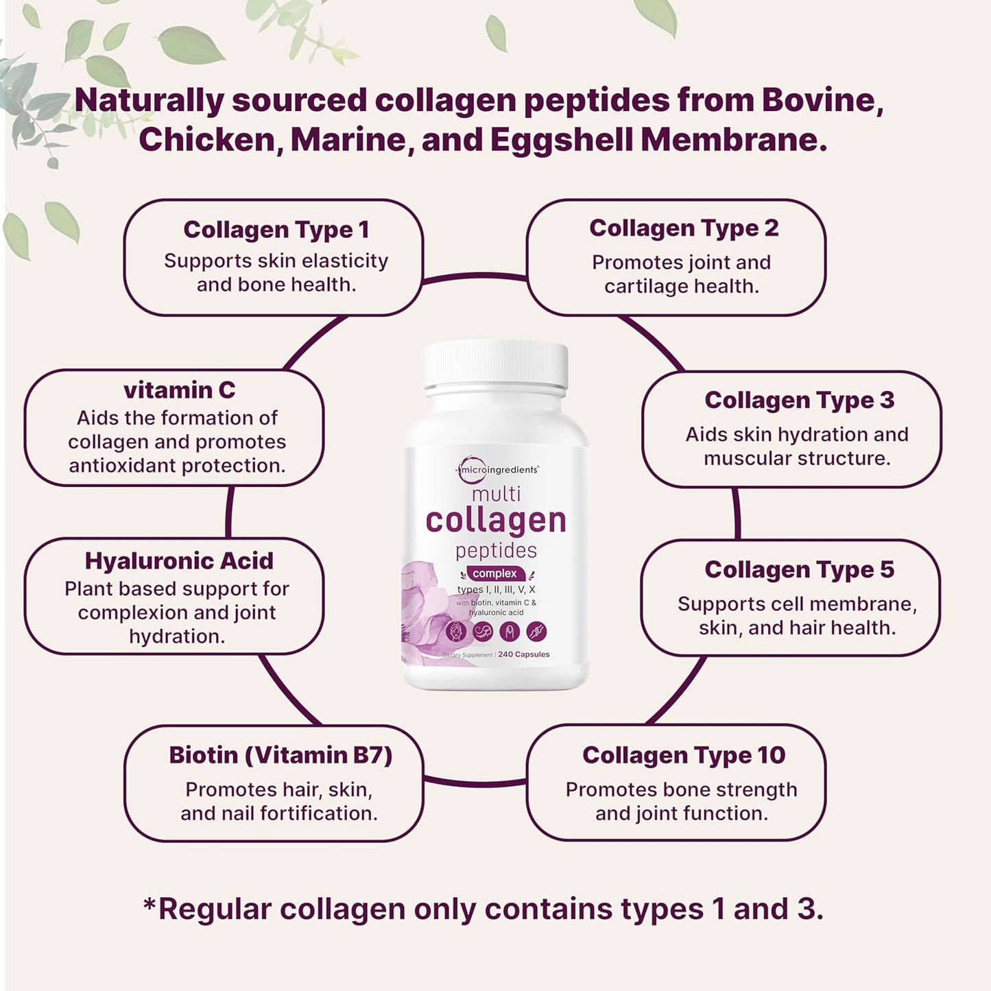 Multi Collagen Complex - 60 Capsules