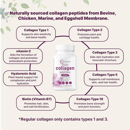 Multi Collagen Complex - 60 Capsules